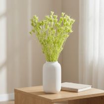 Artikel Torkade Nigellablommor, charmig naturlig rumsdekoration för hemmet, 70 cm, 50 g