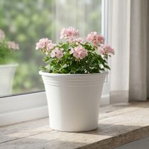 Artikel Plastkruka “Irys” vit Ø25cm H21cm 1 st