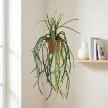 Artikel Rhipsalis konstgjord korallkaktus hängande korg H87cm