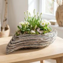 Artikel Växtbåt växt vågrotting naturvit 45x16cm