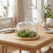 Artikel Glaskupol med träplatta dekoration ostkupol Ø22cm H16,5cm