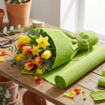 Artikel Blomsterpapper gräsgrönt 50x250cm