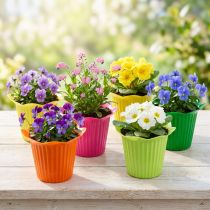 Artikel Plastkrukblomma Ø6,5cm 25 st