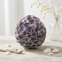 Artikel Skalkula Maritim dekoration med snäckor Decokula violett Ø12cm