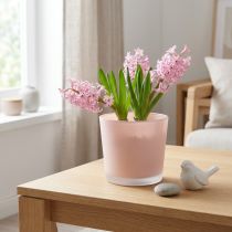 Artikel Blomkruka glaskruka rosa glasbalja Ø11,5cm H11cm