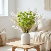 Artikel Torkade blommor keps blommor ljusgröna stråblommor H42cm