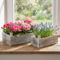 Artikel Rektangulär växtlåda i trä vit 32x17/25x13cm set om 2