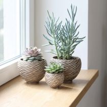 Artikel Dekorskål Keramik Spiraldekor Beige Brun Ø9cm 4st