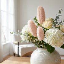Artikel Stor luffa på pinne, blekt, 25 stycken