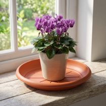 Artikel "Linda" fat Ø18cm terrakotta