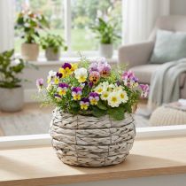 Artikel Blomkorg blomkruka vit rustik Ø17cm H11cm dekoration