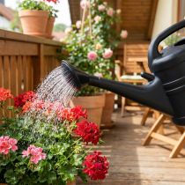 Artikel Vattenkanna spray svart 10l
