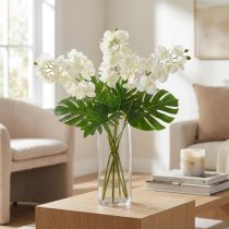 Artikel Orchid Cream-White L57cm 6 st