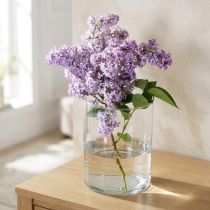 Artikel Glasvas klar cylindrisk Ø12cm H20cm