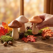 Artikel Dekorativa träsvampar, bruna, beige, orange, Ø7,5 cm, H10 cm, 3 stycken
