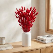 Artikel Kaninsvansgräs (Lagurus) Torkad Röd 60 cm 50 g Torkad Blomdekoration