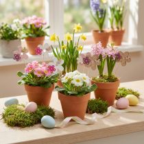 Artikel Blompluggar träblomma fjärilsfärgade Ø10cm 12st