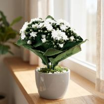Artikel Konstgjord Kalanchoe Flaming Käthchen Vit 24cm