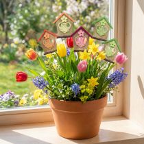 Artikel Blomplugg vårhus fjärilsblomma 8,5cm 12 st