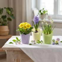 Artikel Växtkruka vävt planteringspapper grönt, gult, lila Ø7cm H13cm 12st