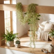 Artikel Tillandsia dekorativ hängande Tillandsia konstgrön vit 180cm