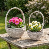 Artikel Växtkorg 2-delat set, sugrör, naturfärgad, vit, Ø23/28, shabby chic