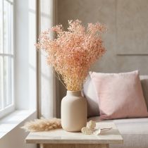 Artikel Gypsophila Dekoration Orange Torkade Gräs Persika 65-70cm 100g