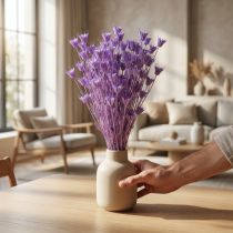 Artikel Torkad Nigella-blombukett, dekorativ användning i vardagsrummet, skapar en unik atmosfär, 70 cm, 50 g