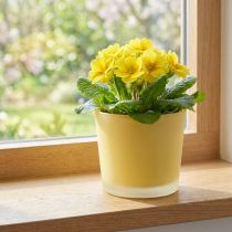 Artikel Blomkruka i glas gul kruka glasbalja Ø10cm H8,5cm