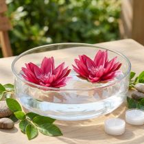 Artikel Flytande näckros konstgjord bordsdekoration fuchsia Ø15cm 2 st