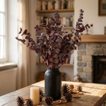 Artikel Eukalyptusgrenar, konserverad eukalyptus, torkade blommor, röda, 75 cm, 150 g