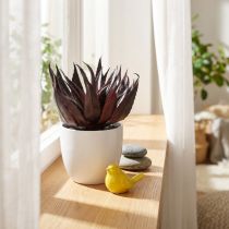 Artikel Konstgjord Aloe Vera växt i kruka Dekorativ växt Grön H20cm