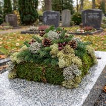 Artikel Dekorativ mossa – riktig mossa och lav för blomsterarrangemang 250 g