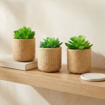 Artikel Konstgjorda suckulenter i kruka Konstgjorda växter Assorted 10cm 3st