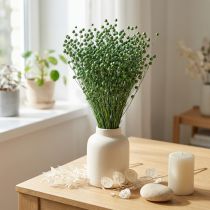 Artikel Torkat lingräs, grönt, 50-55 cm, dekorativt DIY