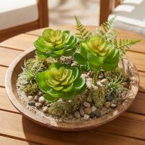 Artikel Echeveria konstgjorda suckulenter Grön Ø7cm 6 st
