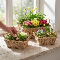 Artikel Växtkorg rektangulär flätad naturlig 39/33/27cm set om 3