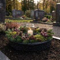 Artikel Oasis Black Biolit Plant Ring Svart Plant Bowl Ø35cm