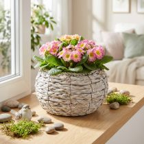 Artikel Vittvättad rund växtkorg Ø22cm H13cm blomkruka dekoration