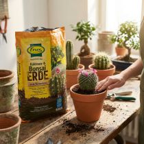Artikel FRUX Soil Kaktusjord och Bonsaijord 5L