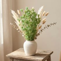 Artikel Torkade blommor svart spiskummin grön nigella 50cm 100g