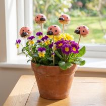 Artikel Nyckelpiga dekorativa blompluggar träfärgade 3,5cm 24 st