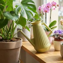 Artikel Vattenkanna för inomhusbruk, olivgrön, retrostil, 24,5 cm, 1,8 l, designad vattenkanna, plast, för växtbevattning