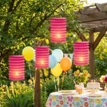 Artikel Lampion Train Lantern Rosa Ø10cm H13cm 8st