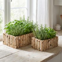 Artikel Växtlåda örtlåda i trä björk L23/28cm set om 2