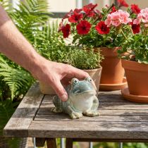 Artikel Grodfigur, sommardekoration av keramik för hem och balkong, 12 cm