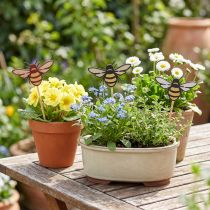 Artikel Biplugg träblomplugg naturfärgad 34cm 12st