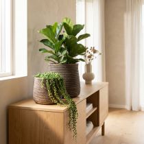 Artikel Boho blomkruka cachepot keramisk flätad look Ø9cm H10,5cm 2st