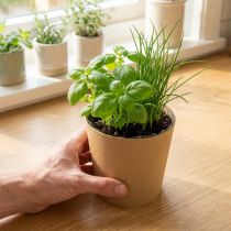 Artikel Krukor, blomkruka, växtkruka, naturlig, Ø11cm H10cm, 6 stycken