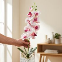 Artikel Orkidé Phalaenopsis konstgjord 9 blommor vit fuchsia 96cm